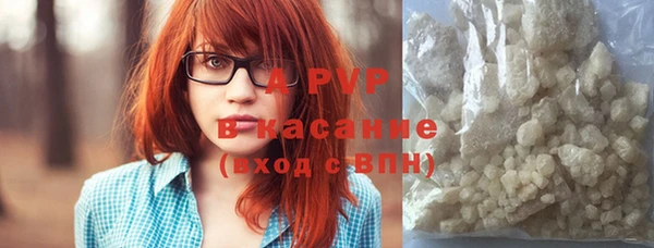 ПСИЛОЦИБИНОВЫЕ ГРИБЫ Гусь-Хрустальный