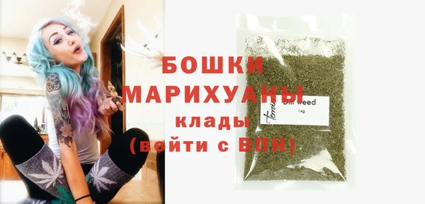ПСИЛОЦИБИНОВЫЕ ГРИБЫ Гусь-Хрустальный