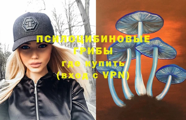 молекула духа Горняк