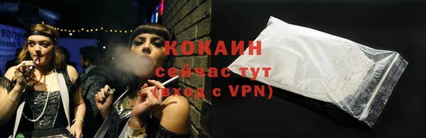 стаф Гусев