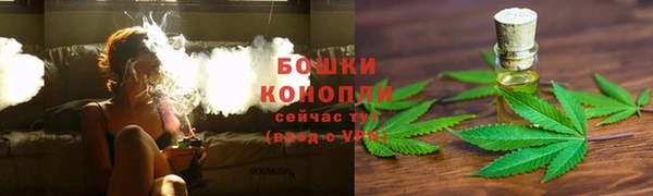 соль ск Горно-Алтайск
