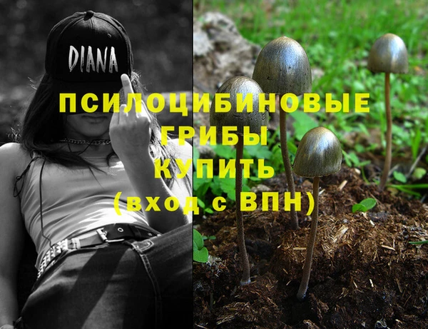 молекула духа Горняк