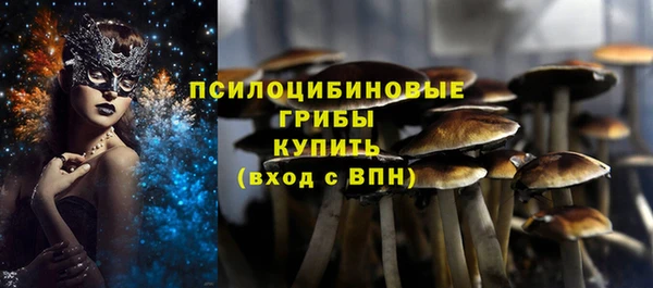 гашик Горнозаводск