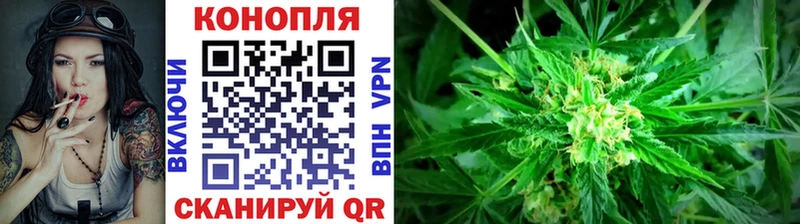 наркошоп  Гусев  Конопля семена 